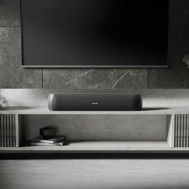 CARNIwAL 101: TWS Soundbar Speakers