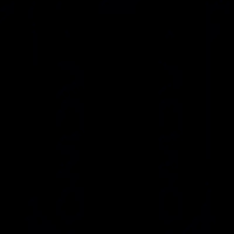 DwOTS X Pro - Image 3
